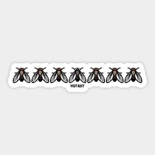 Drosophila Fruit Fly Mutant Genetics Evolution Sticker